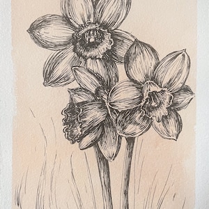 Original Daffodil Drawing - Pen and Ink on Deckle Edge Paper