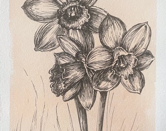 Original Daffodil Drawing - Pen and Ink on Deckle Edge Paper