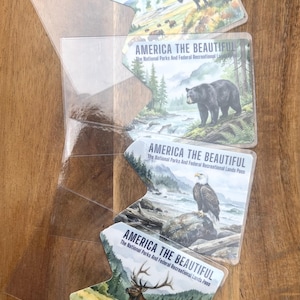 May include: Four "America the Beautiful" National Parks passes in clear plastic holders. Each pass features a different wildlife scene: bison, a black bear, an eagle, and an elk. The passes are on a wooden surface.