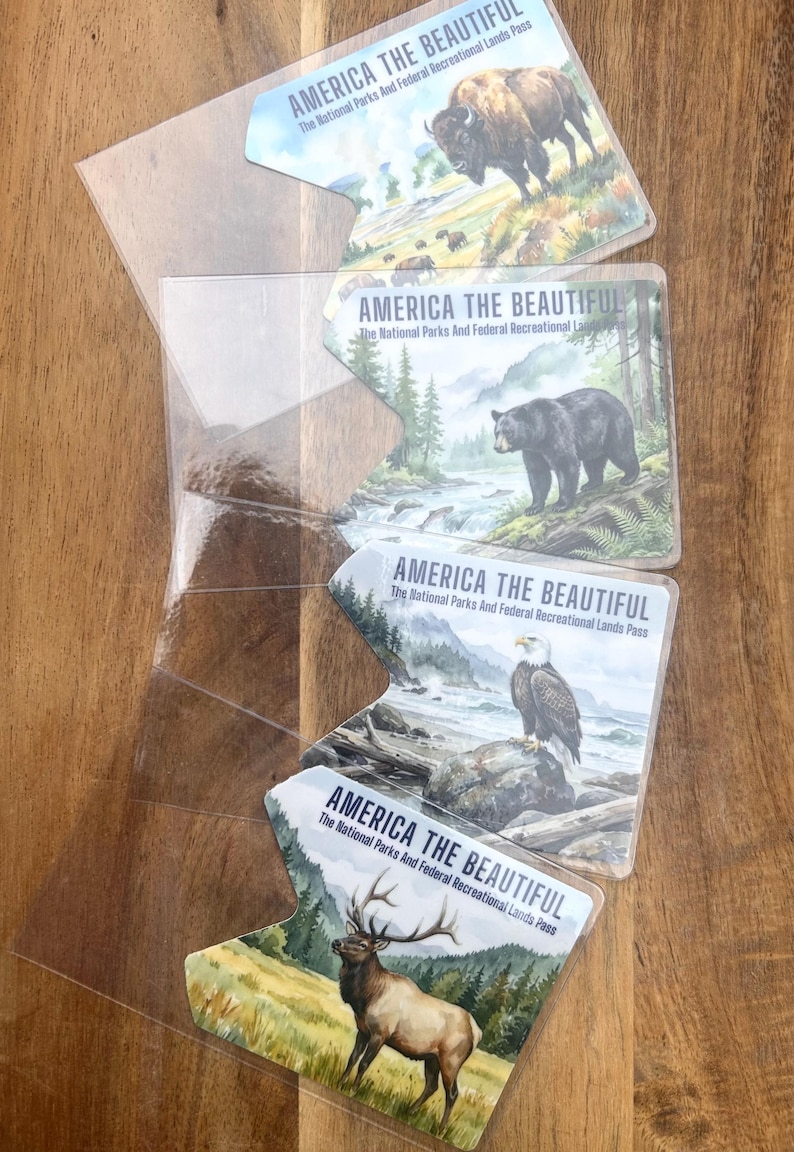 May include: Four "America the Beautiful" National Parks passes in clear plastic holders. Each pass features a different wildlife scene: bison, a black bear, an eagle, and an elk. The passes are on a wooden surface.