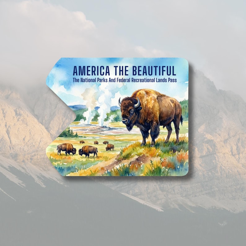 May include: A rectangular pass with a watercolor illustration of bison grazing in a field, with geysers in the background. The pass reads "America the Beautiful" and "The National Parks And Federal Recreational Lands Pass".