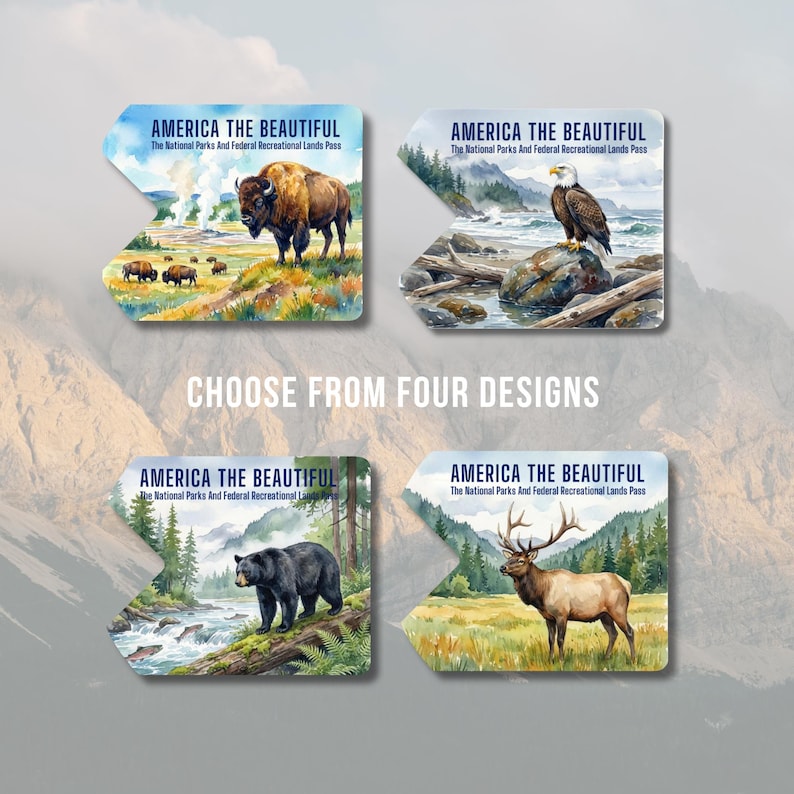 May include: Four designs of the "America the Beautiful" National Parks and Federal Recreational Lands Pass are shown. Each pass features a different watercolor illustration: bison, an eagle, a bear, and an elk. The text "CHOOSE FROM FOUR DESIGNS" is also present.