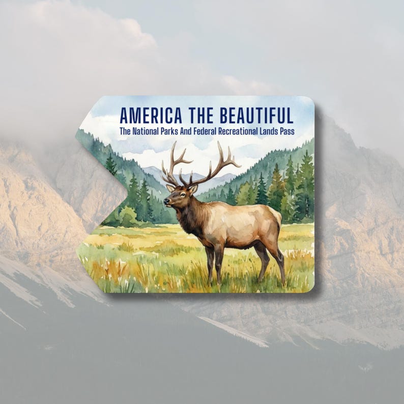 May include: A rectangular pass with a watercolor illustration of an elk in a grassy field, with mountains and trees in the background. The text "AMERICA THE BEAUTIFUL" and "The National Parks And Federal Recreational Lands Pass" are displayed.