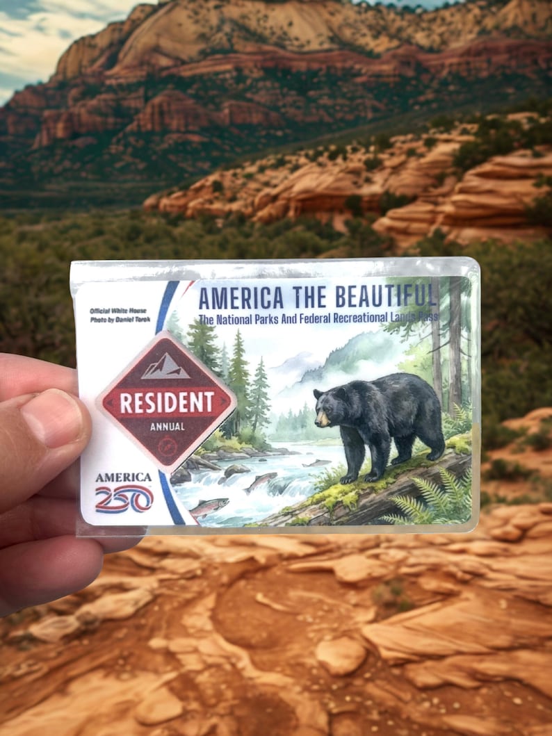 May include: A clear plastic America the Beautiful annual pass. The pass features a black bear standing near a river with fish, and the text "America the Beautiful". The pass also has the text "Resident Annual" and "America 250".