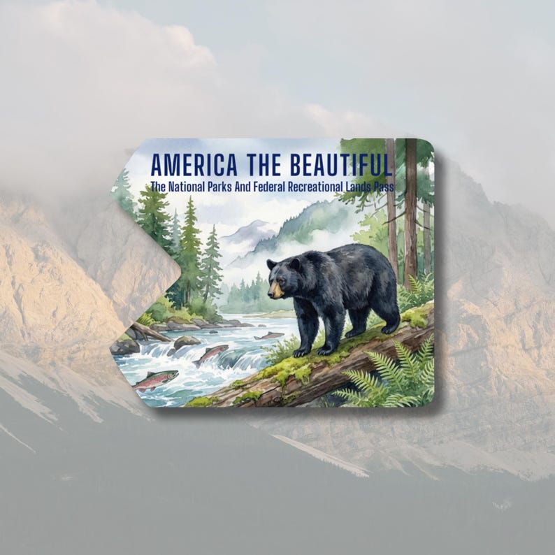 May include: A rectangular pass with rounded corners featuring a watercolor illustration of a black bear standing on a log near a river. The pass reads "AMERICA THE BEAUTIFUL" and "The National Parks And Federal Recreational Lands Pass".
