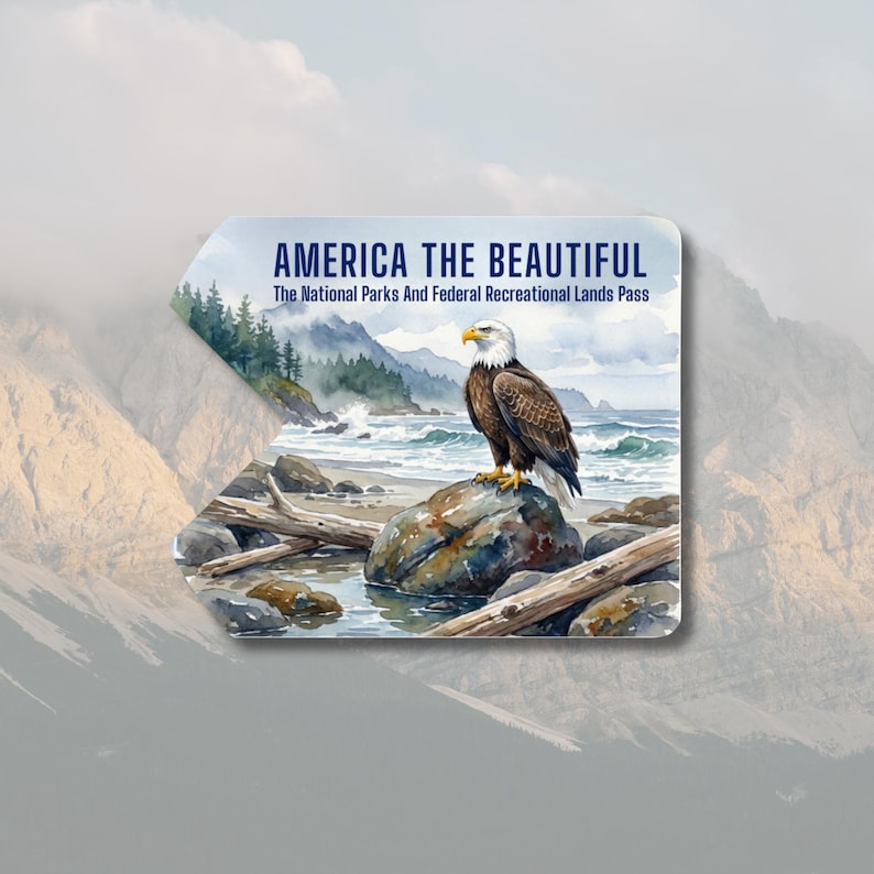 May include: A rectangular pass with rounded corners, featuring a watercolor illustration of a bald eagle perched on a rock by the ocean. The text "AMERICA THE BEAUTIFUL" and "The National Parks And Federal Recreational Lands Pass" are displayed.