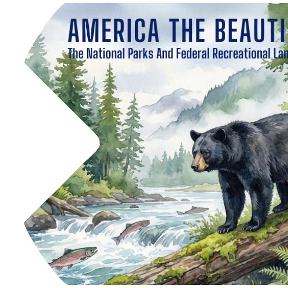 America the Beautiful Sticker and Sleeve- National Parks Pass Cover, Public Lands Pass 2026 - Etsy