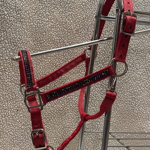 HORSE Halter, light, quarter horse show red