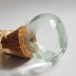 May include: A clear glass bottle stopper with a cork base. The bottle stopper is round and has a slight green tint.