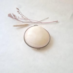 Handmade brass seashell jewelry box Philippines/Asia/pearlescent mini case/gift for jewelry and keepsakes/white and gold/small boho decor