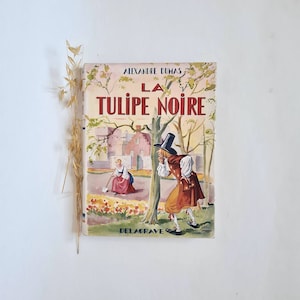Vintage book Alexandre Dumas/La Tulipe Noire/large paperback hardcover/illustrated illustrations literature France/famous novel/French rare