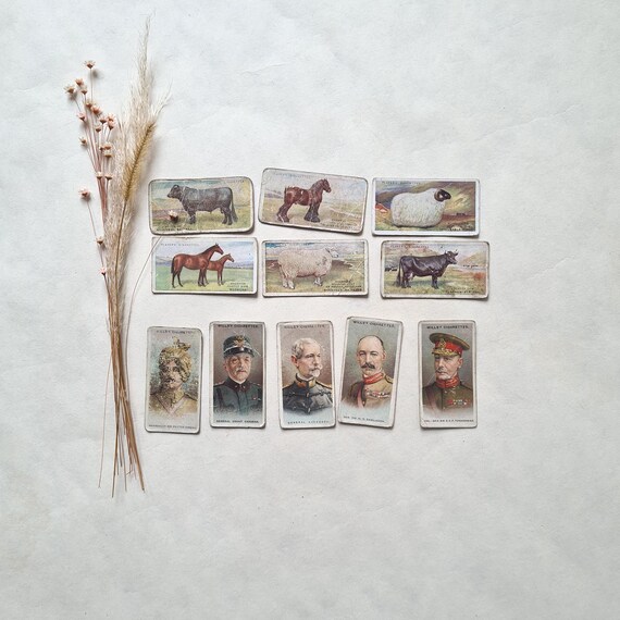 cigarette cards rare Vintage cigarette cards 20s/Wills's original/color illustrated series/WD &  HO collection/old rare/Live stock animals/Allied Army Leaders
