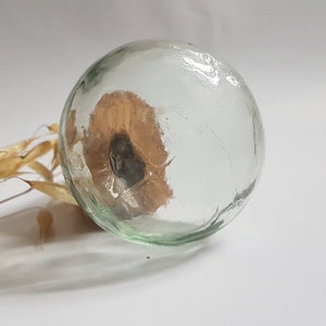 May include: A clear glass bottle stopper with a brown and black seed inside. The bottle stopper is round and has a textured surface.