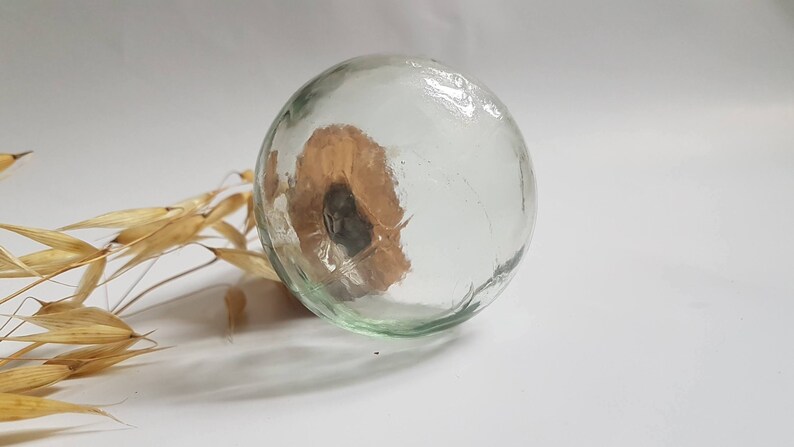 May include: A clear glass bottle stopper with a brown and black seed inside. The bottle stopper is round and has a textured surface.