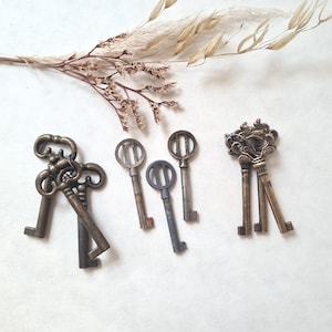 May include: An assortment of antique keys in various styles and sizes, arranged on a white surface. The keys are primarily bronze and silver in color, with intricate designs and aged finishes. A sprig of dried flowers adds a touch of natural elegance.