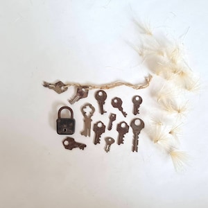 Op de afbeelding: Een verzameling vintage sleutels en een klein hangslot op een witte achtergrond. De sleutels zijn in een rij gerangschikt, met het hangslot aan het einde. De sleutels zijn allemaal van verschillende grootte en vorm, en sommige hebben roest. Het hangslot is van metaal en heeft een messing afwerking.