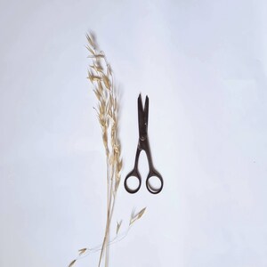 Vintage ciseaux Pam 500 Nogent fabriqué en France outil coupe fer forgé Razor silver steel coiffeur coiffure salon ancien brocante barbier