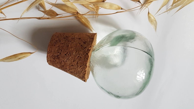 May include: A clear glass bottle with a cork stopper. The bottle is round and has a slight green tint. The cork is brown and has a rough texture.