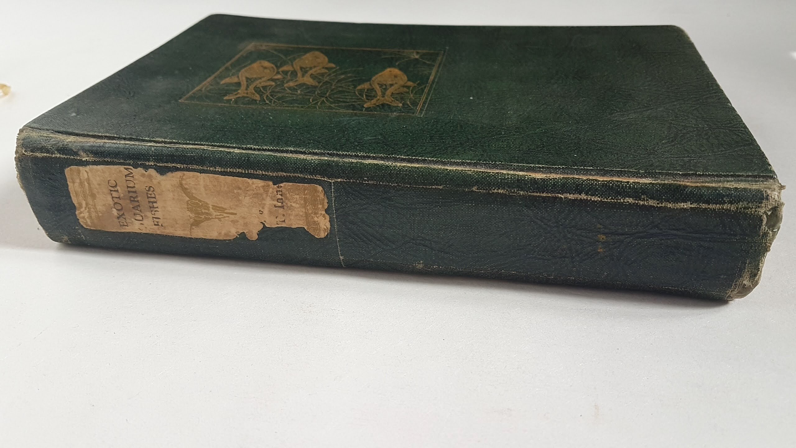 ADA 古い書籍 81qYoBkenFL._UF350,350_QL50_.jpg