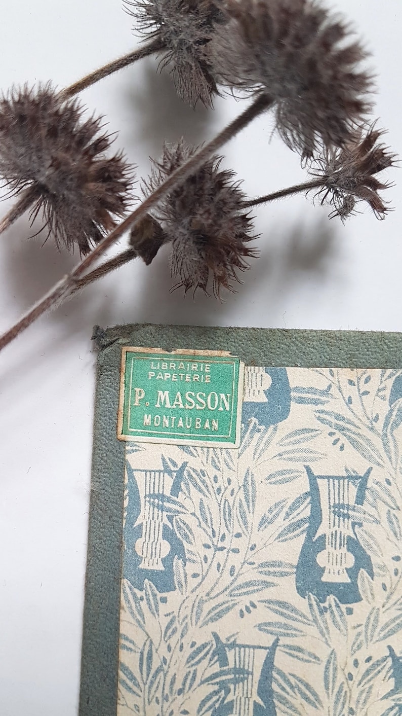May include: A green and white label with the text "Librairie Papeterie P. Masson Montauban" on a book cover with a blue and white floral pattern.