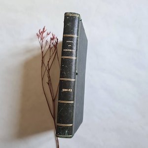Vintage Journal Des Demoiselles 1881 1882 literatura revista ilustrada educación burguesa vida doméstica período de colección francesa