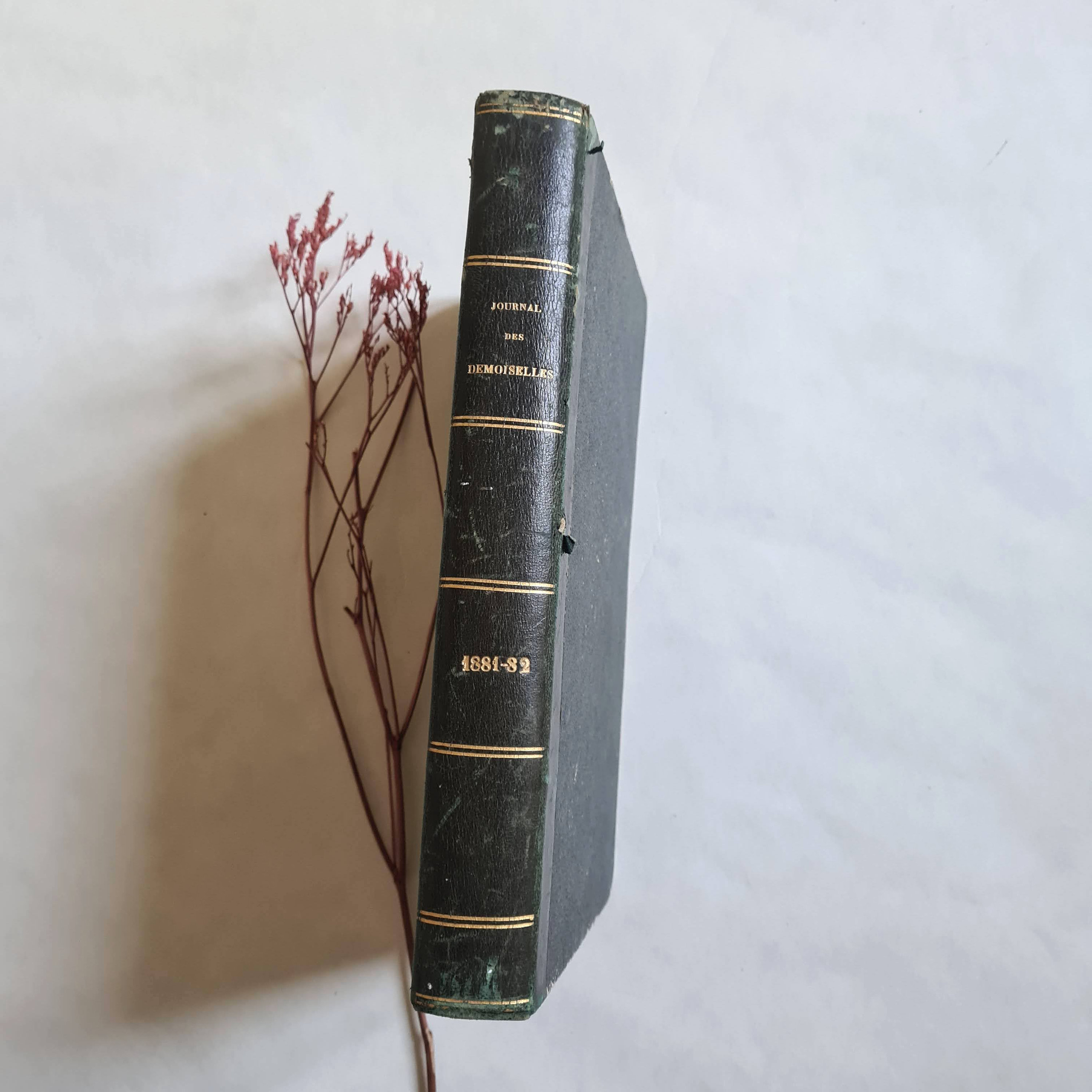 Vintage Journal Des Demoiselles 1881 1882 Illustrated