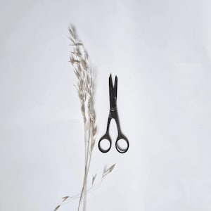 Vintage ciseaux Pam 500 Nogent/fabriqué en France/outil coupe/fer forgé/Razor silver steel/coiffeur coiffure salon/ancien brocante barbier