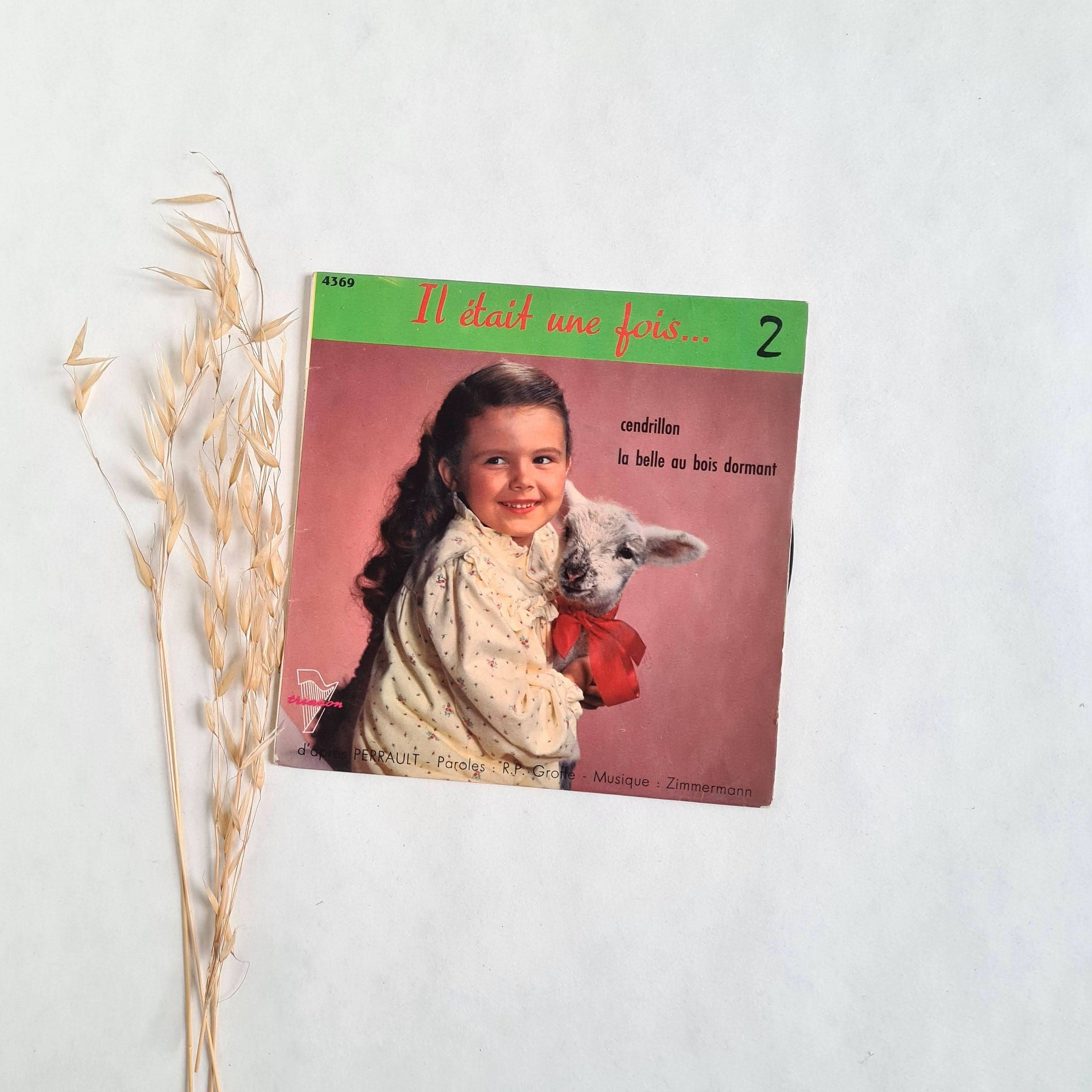 Vintage Vinyl Record Once Upon a Time Cinderella Sleeping Beauty France  Child Tale Story 45 Rpm Youth Turntable Needle Flea Market French - Etsy, image size:2250x2250