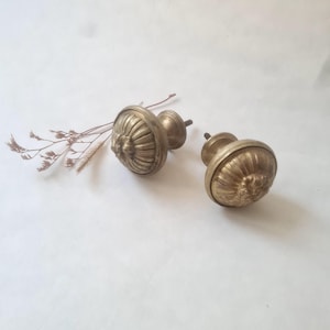 Peut inclure: Deux boutons de placard ronds en laiton avec un design cannelé et nervuré et un motif floral central. Chaque bouton présente une finition dorée métallique et une vis filetée dépassant à l'arrière, accompagnés d'un petit brin de plante séchée.