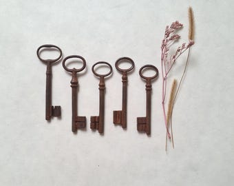 Chiave antica d'epoca del XIX secolo/ferro battuto/decorazione rustica/mobili d'epoca/collezione di antiquariato/serratura a mortaio/beni di seconda mano per case di campagna