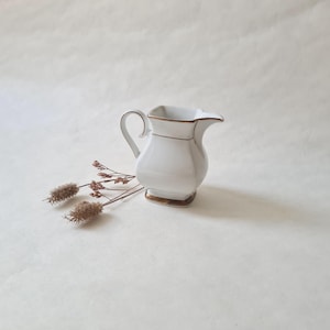 Può includere: Una lattiera in ceramica bianca con finiture e manico dorati. La lattiera ha una base quadrata e un beccuccio curvo. Piante marroni secche sono accanto alla lattiera su uno sfondo bianco.