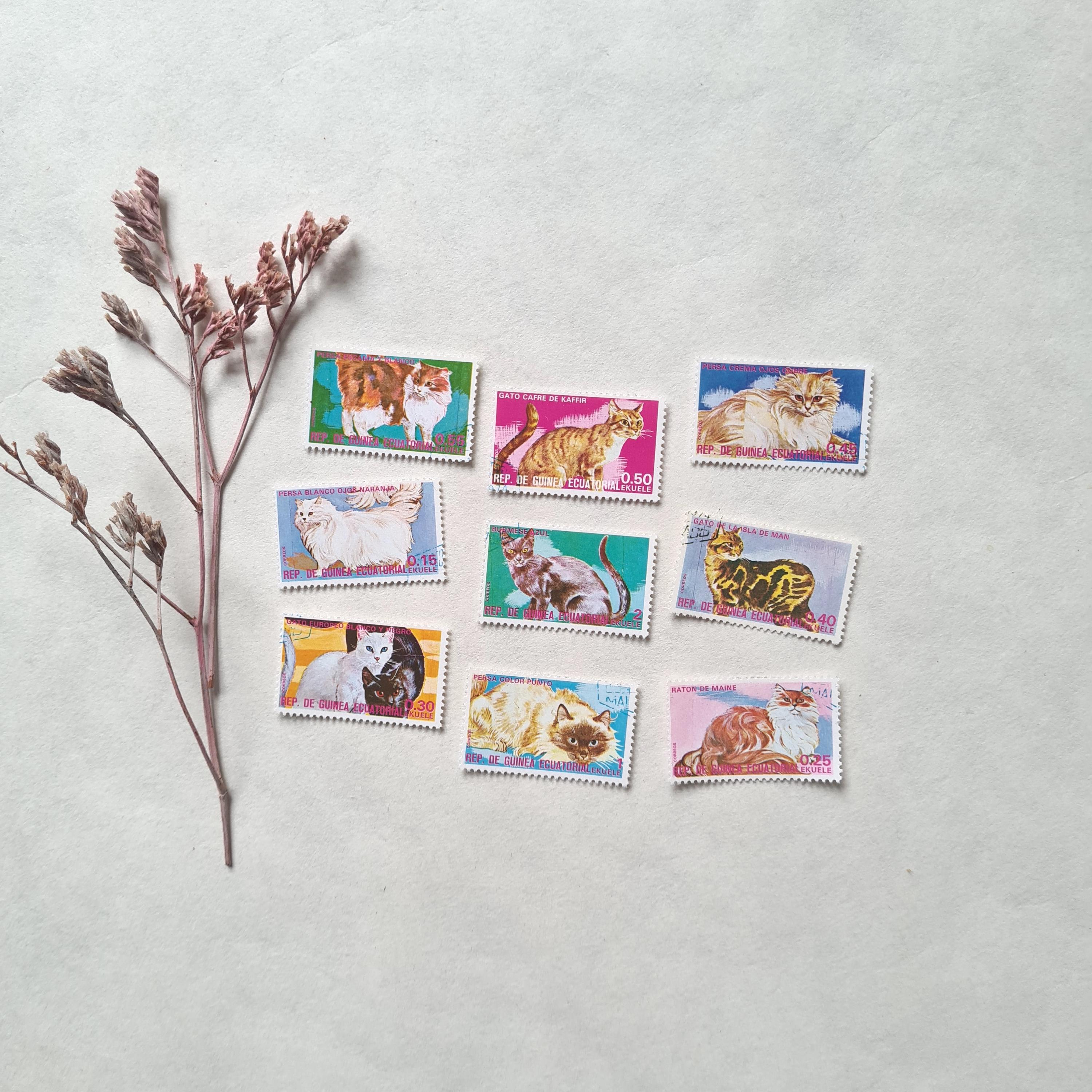 Vintage timbres série de 9 chats races/Guinée équatoriale/Afrique années 70/animaux félins animal/coloré multicolore/collection scrapbooking