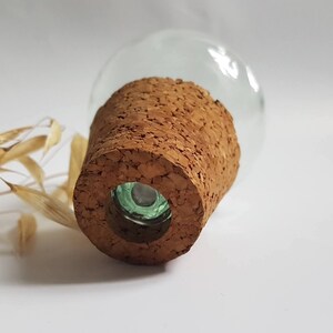 May include: A clear glass bottle with a cork stopper. The cork is brown and has a rough texture. The bottle is sitting on a white surface.