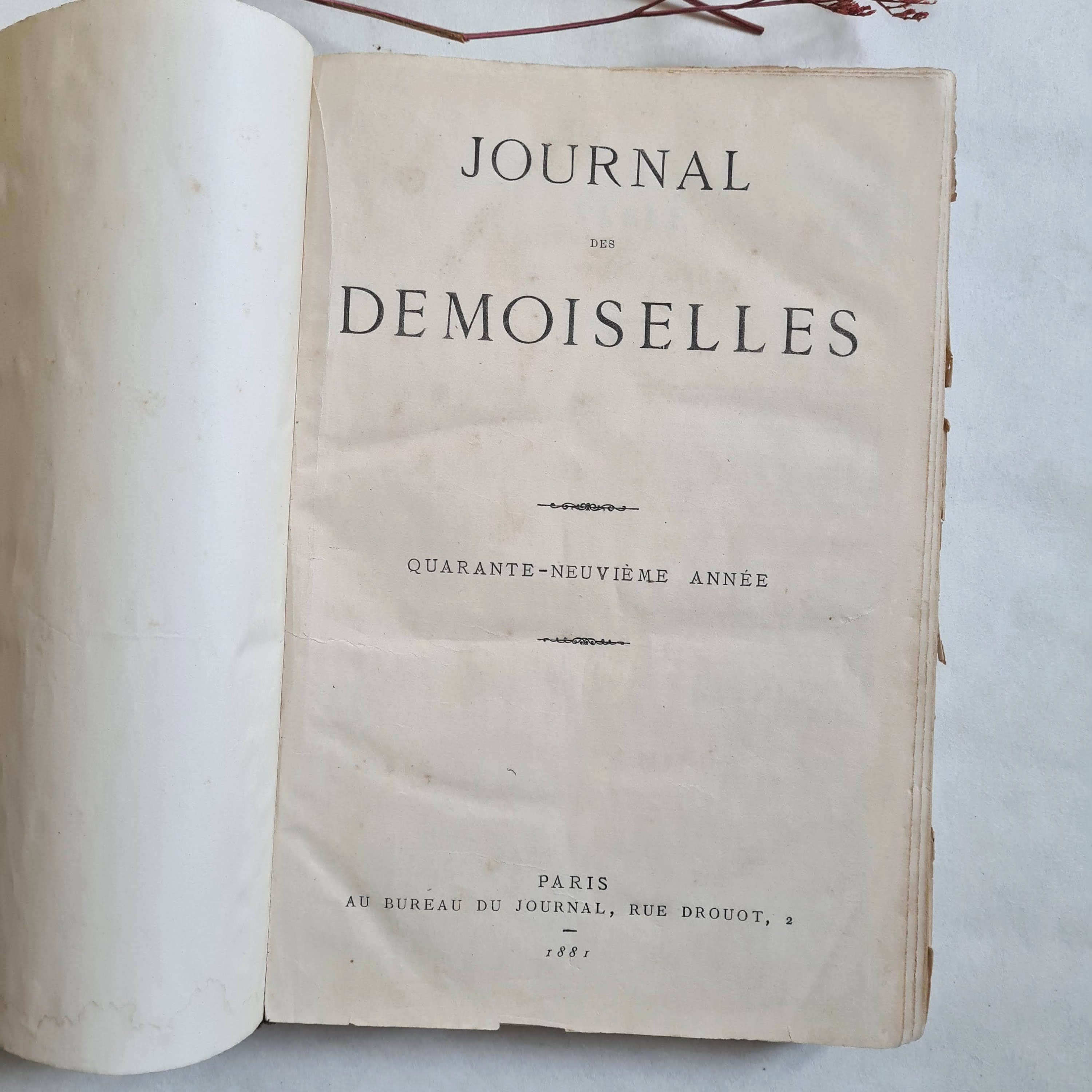 Vintage Journal Des Demoiselles 1881 1882 Illustrated