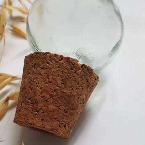 May include: A clear glass bottle stopper with a cork base. The bottle stopper is round and has a smooth surface.