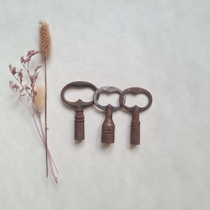May include: Three antique keys with ornate handles, arranged on a neutral background. The keys are made of aged metal, showing signs of wear and rust. Dried flowers and grasses add a touch of natural elegance to the composition.