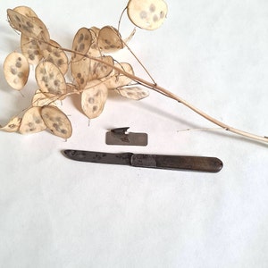 以下が含まれることがあります： 茶色のハンドルが付いたポケットナイフ、金属製のブレード、小さな金属製の缶切り。ナイフは白い表面に置かれ、乾燥した花の茎と種子鞘の隣にあります。