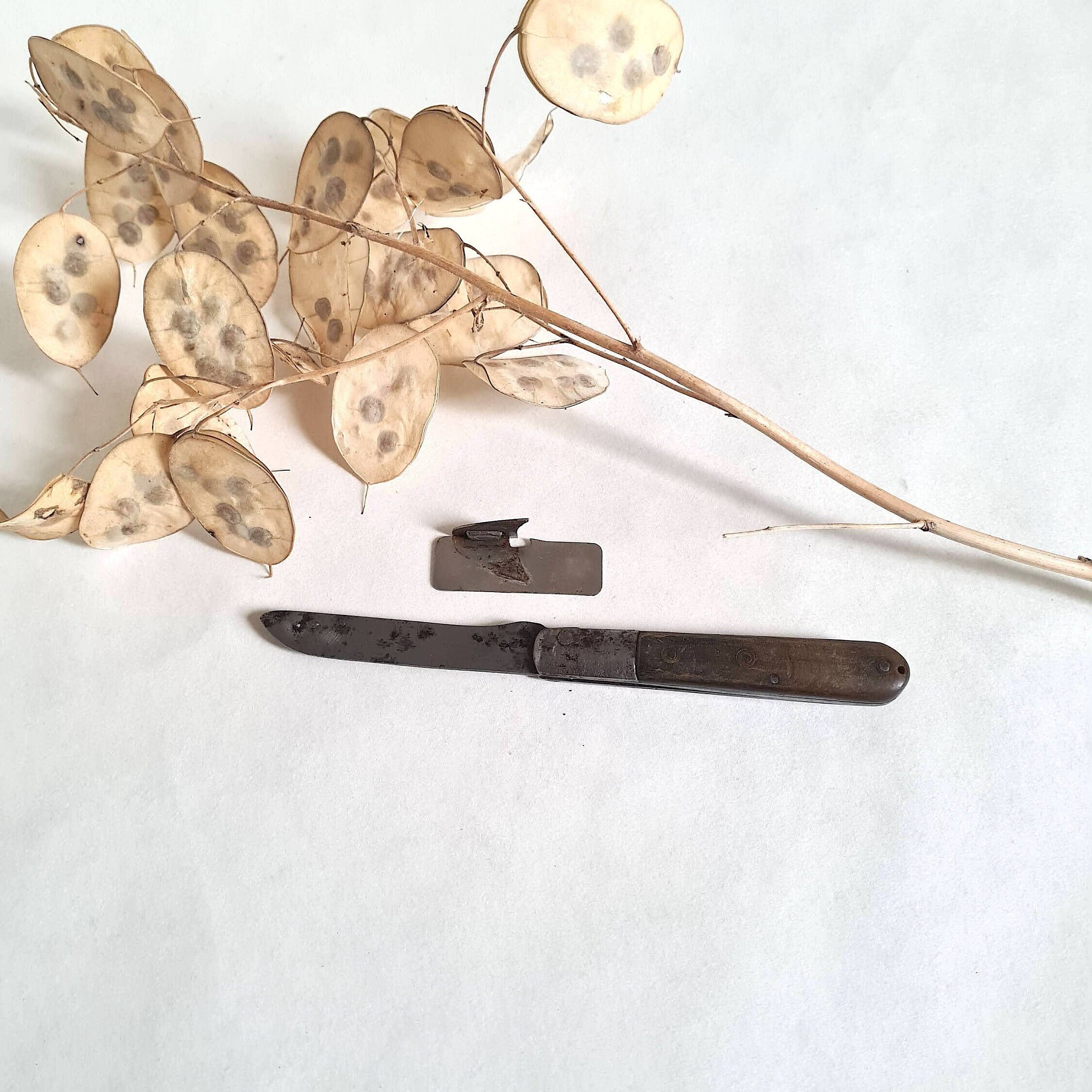 Ww2 french knife - Etsy 日本