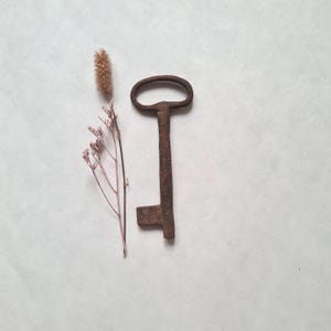 Peut inclure: Une clé ancienne en métal rouillé avec une poignée en boucle et un panneton rectangulaire. Une tête d'herbe sèche de couleur beige et de délicates fleurs roses sont positionnées à gauche de la clé. La clé est un objet vintage.