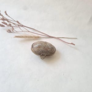 Oval cowrie shell box/handmade in the Philippines/mini jewelry or pill box/ vintage/ brass clasp / exotic decorative gift/curiosity cabinet