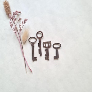May include: Four antique, rusty keys of varying designs are arranged on a white surface, accompanied by dried pink and beige flowers. The keys have different shapes and sizes, suggesting a vintage or historical theme.