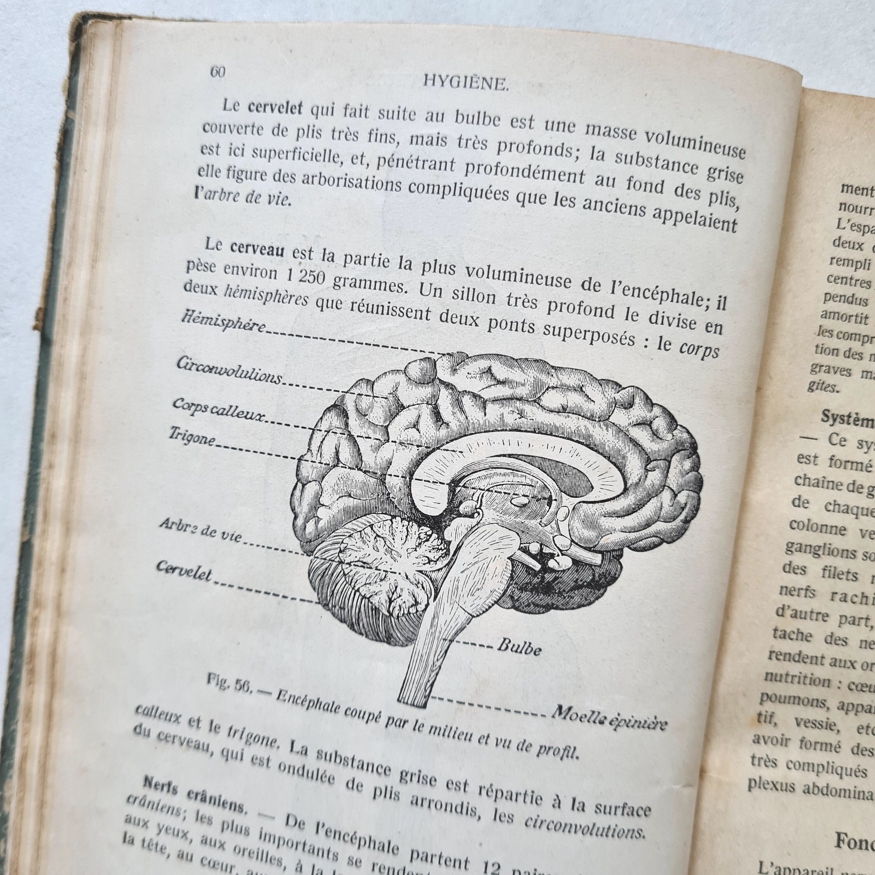 Peter Buchenau, Ina Lackerbauer, Urs Peter Janetz \u0026 Marina Tinz:  «Männerschnupfen» в Apple Books, image size:3000x3000