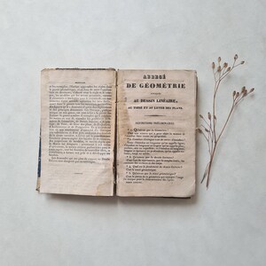 Puede incluir: Un libro antiguo abierto, con páginas envejecidas y amarillentas. La página izquierda tiene texto manuscrito, mientras que la página derecha presenta el título "ABREGÉ DE GÉOMÉTRIE" en letras negras y en negrita. Una ramita de flores secas descansa junto al libro.