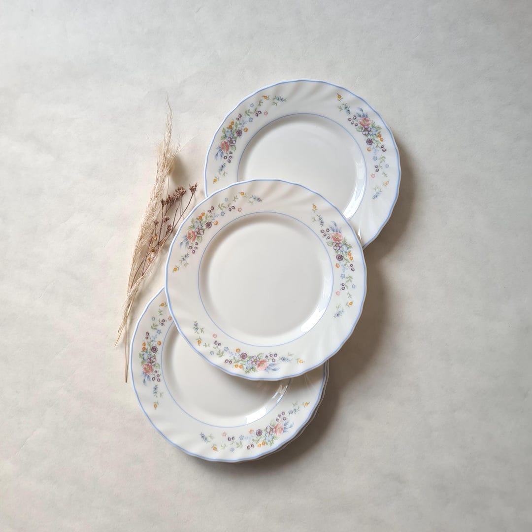 Lot19 De 4 Petites Assiettes Plates Vintage Arcopal France D 20 Cm