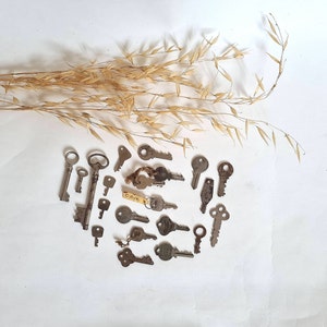 Vintage set of 21 keys wrought iron metal accessory lock locksmith assortment flat round small large chest door supply flea market antique