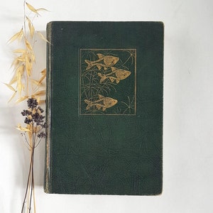 Vintage libro inglés pez exótico viejo coleccionable primera edición 1935 Innes Publishing Company literatura americana de la década de 1930