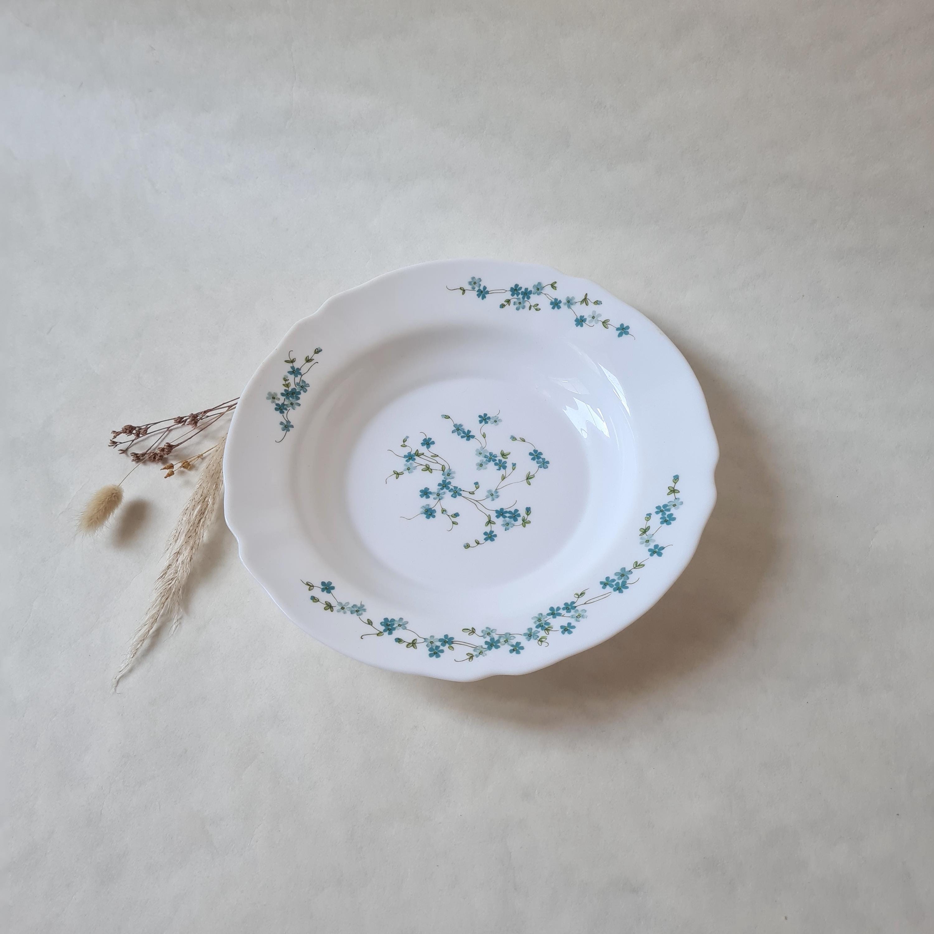 Lot de 8 assiettes plates vintage Arcopal modèle myosotis fleurs 🌸 bleu - Arts de la table