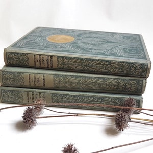 Libro antiguo de 1924 Lamartine/Jocelyne/Primeras meditaciones/Caída de un ángel/Obras de literatura francesa/Francia Hachette París Francia