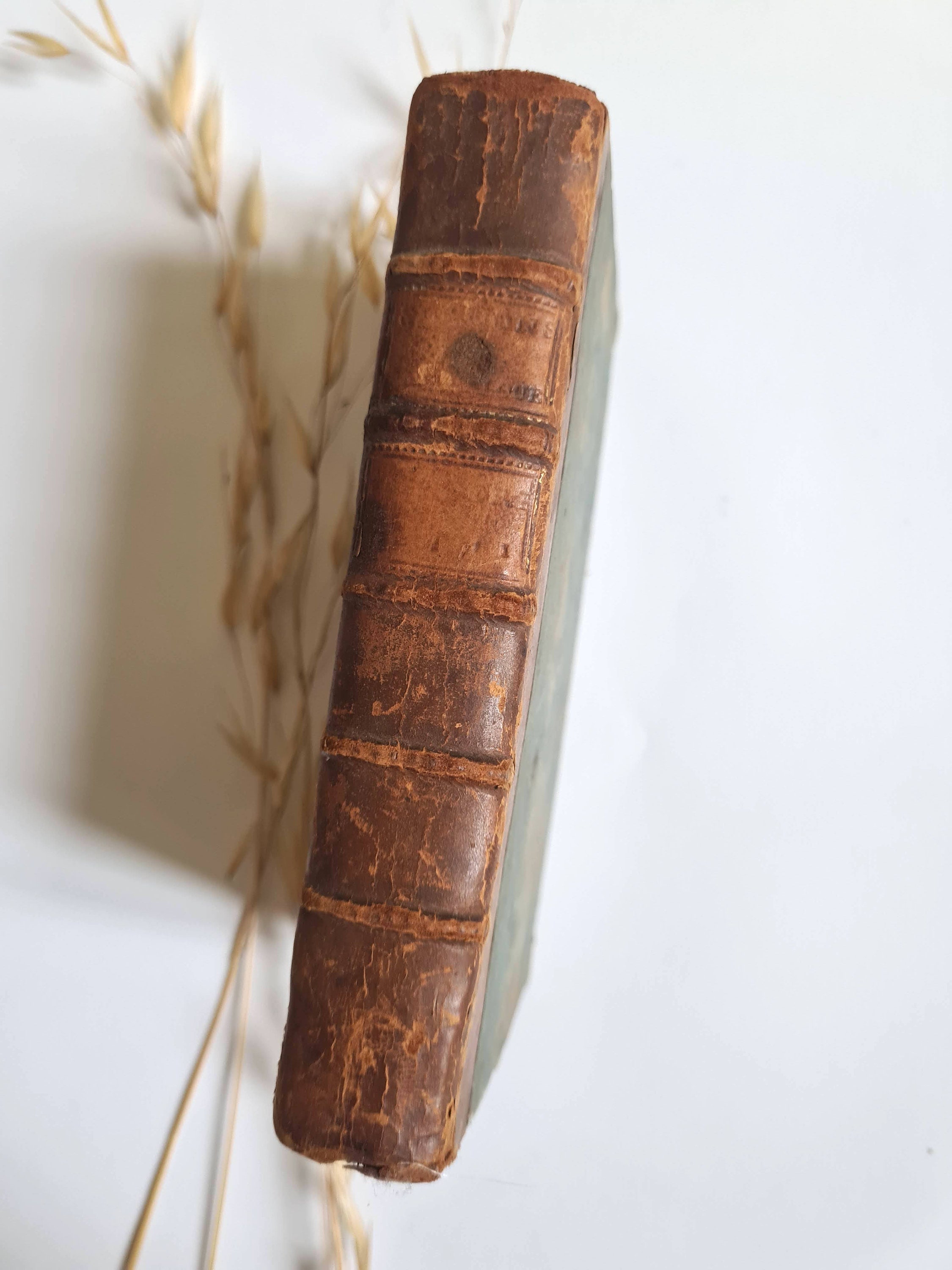 Vintage Book Sermons of Father Bourdaloue/Companions of Jesus/on the Mysteries/Volume Second/Edition Anisson and Posuel 1715/Religion France