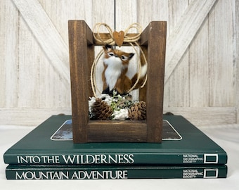 Red Fox Woodland Display Box: Rustic Log Cabin Decor